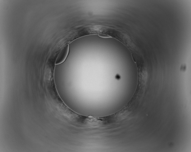 X0000111920331200907271255