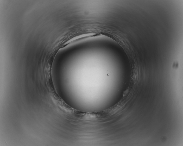 X0000111920332200907271255