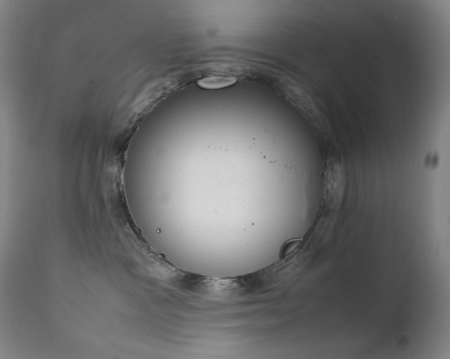 X0000111920333200907271255