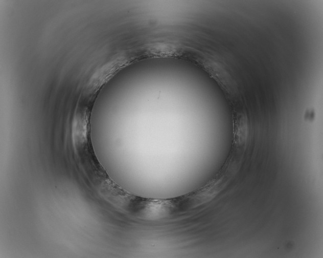 X0000111920334200907271255