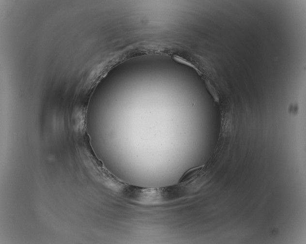 X0000111920335200907271255