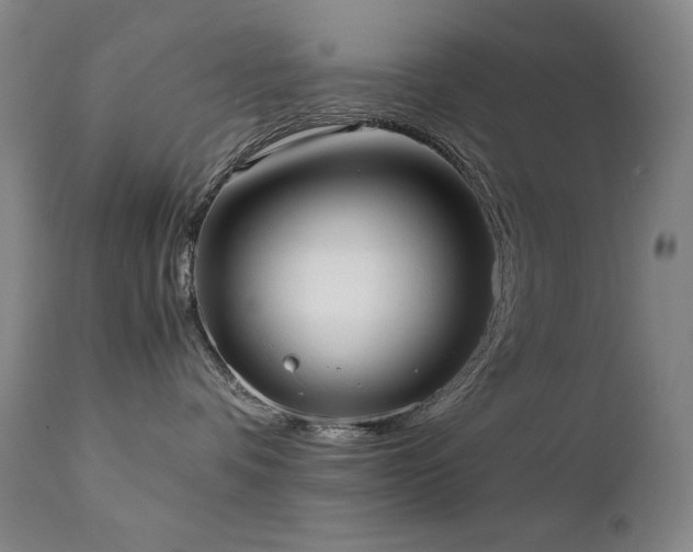 X0000111920336200907271255