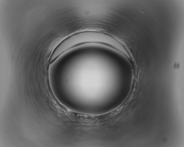 X0000111920337200907271254
