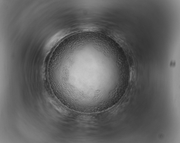 X0000111920339200907271254
