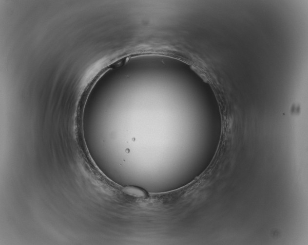 X0000111920340200907271254