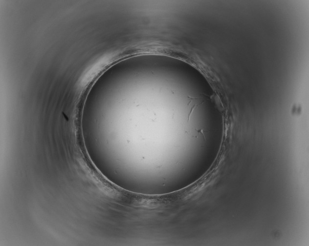 X0000111920341200907271254