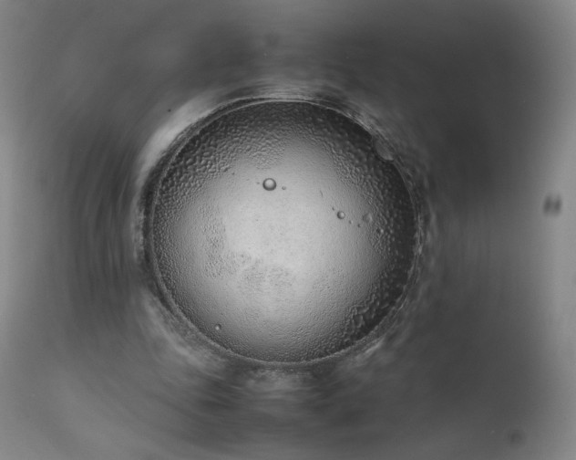 X0000111920343200907271254