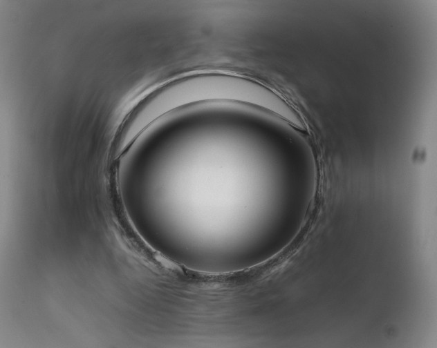 X0000111920344200907271254