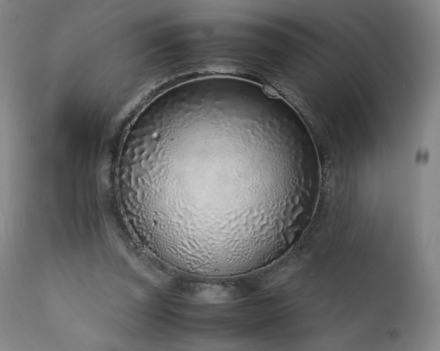 X0000111920347200907271254