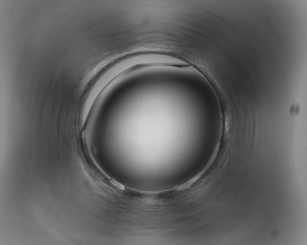 X0000111920348200907271254