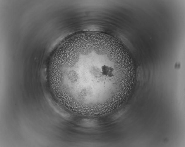 X0000111920351200907271254