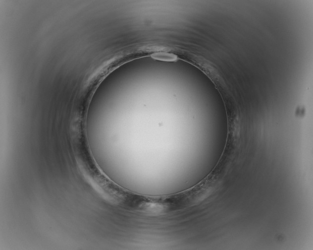 X0000111920352200907271254