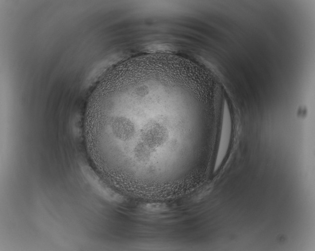 X0000111920353200907271254