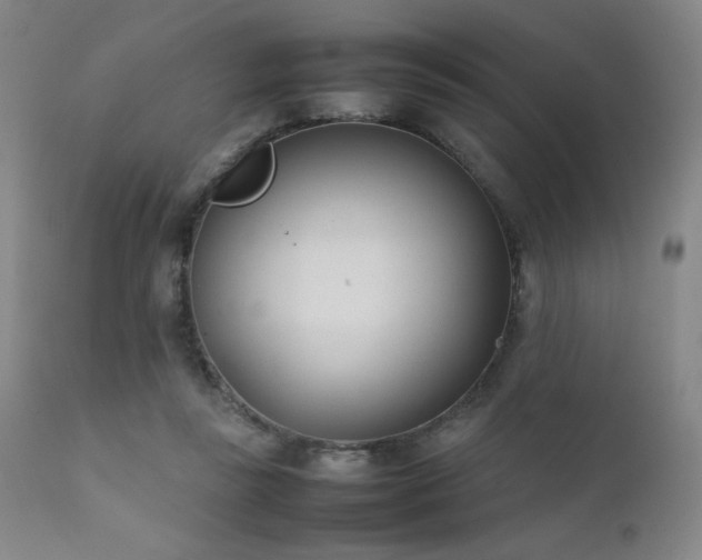 X0000111920355200907271254
