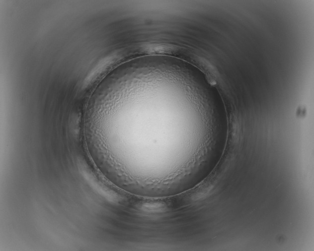 X0000111920357200907271254