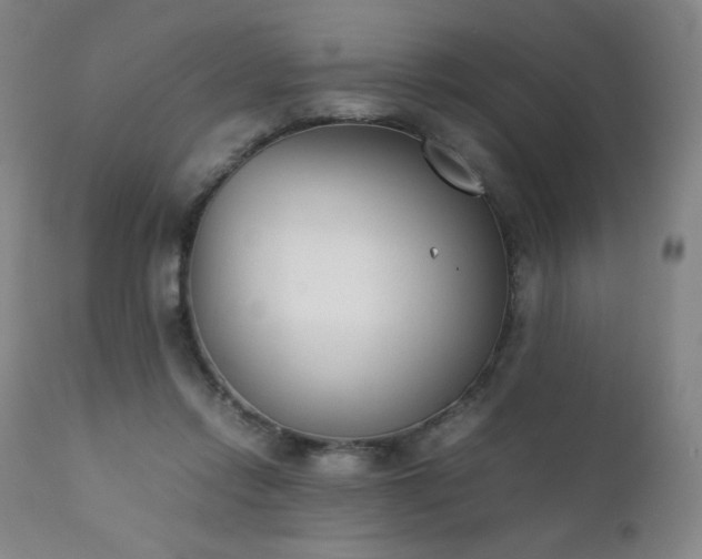 X0000111920358200907271254