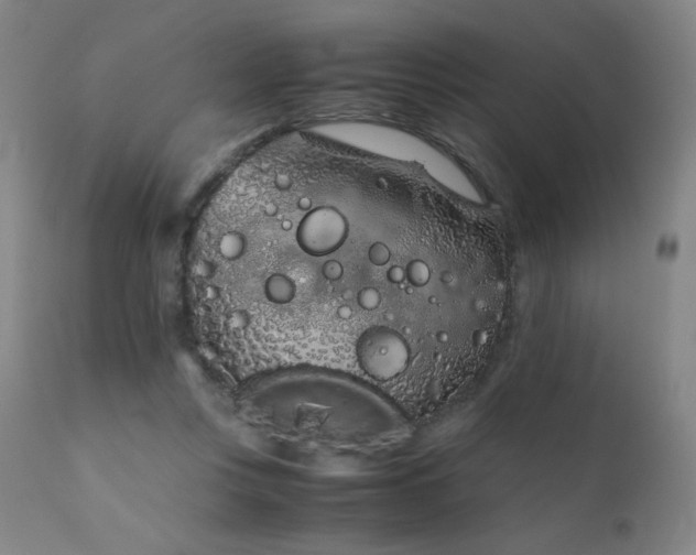 X0000111920359200907271254