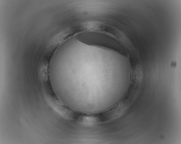 X0000111920360200907271254
