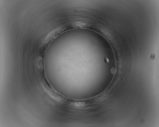 X0000111920361200907271254
