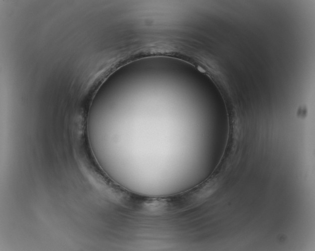 X0000111920362200907271254