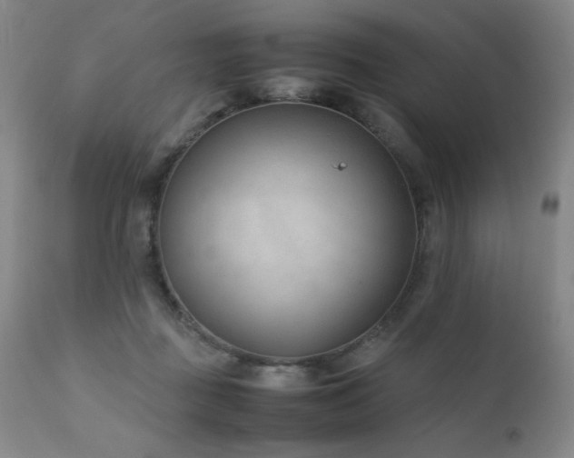 X0000111920363200907271254