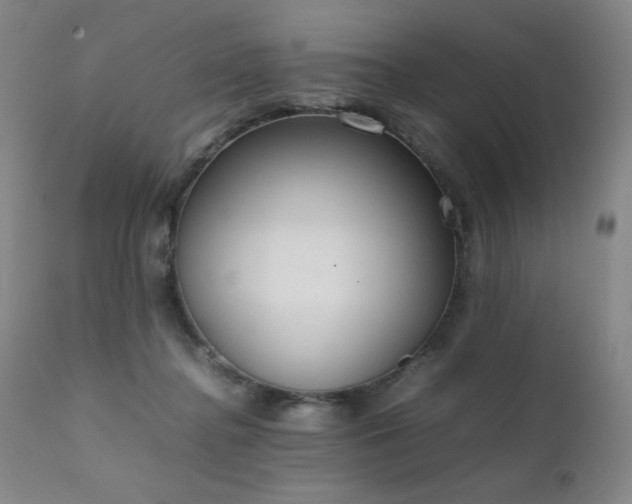 X0000111920364200907271254