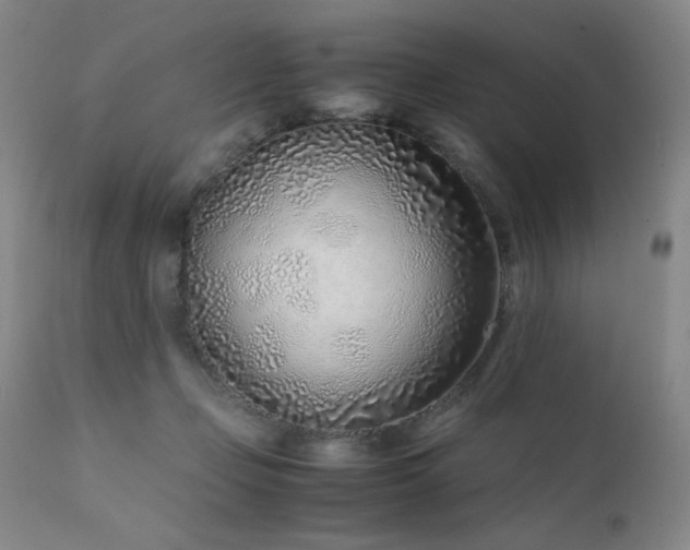 X0000111920365200907271254