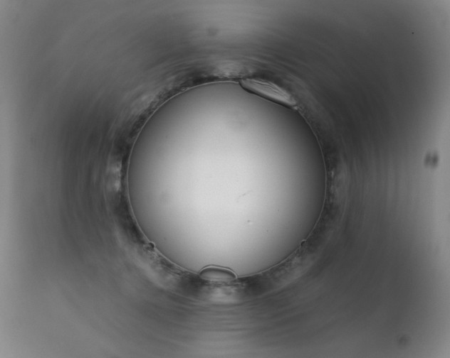 X0000111920368200907271254