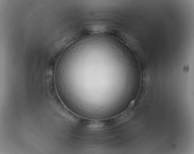 X0000111920369200907271254