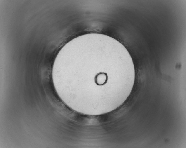 X0000111920370200907271254