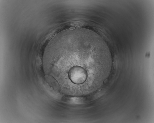 X0000111920371200907271254