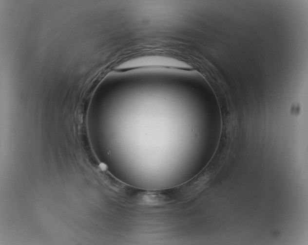 X0000111920372200907271254