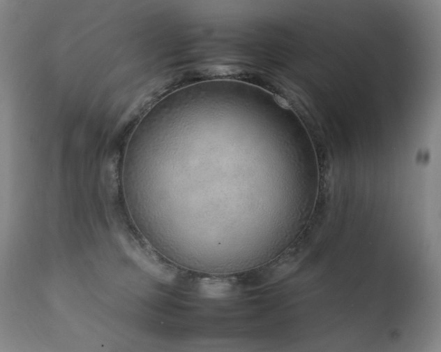 X0000111920373200907271254