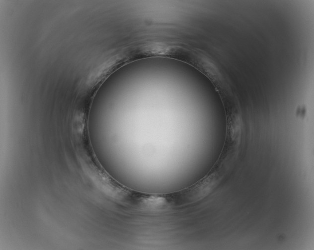 X0000111920374200907271254