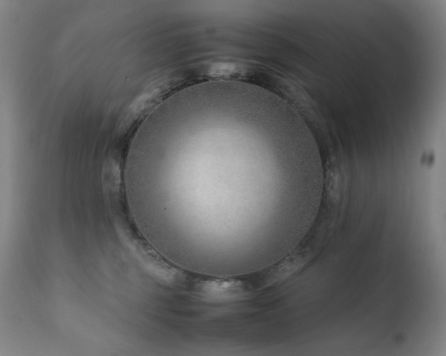 X0000111920375200907271254