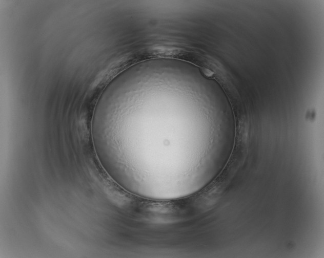 X0000111920377200907271254