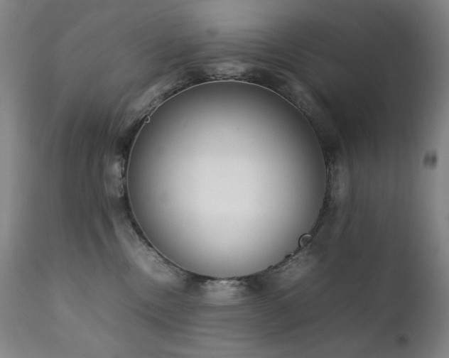 X0000111920378200907271255