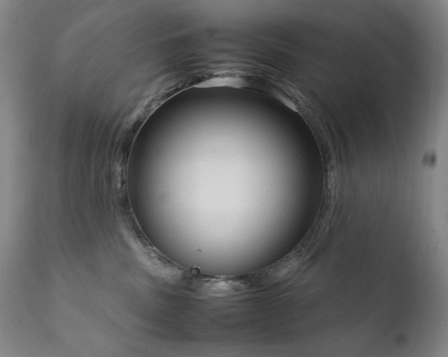 X0000111920379200907271255