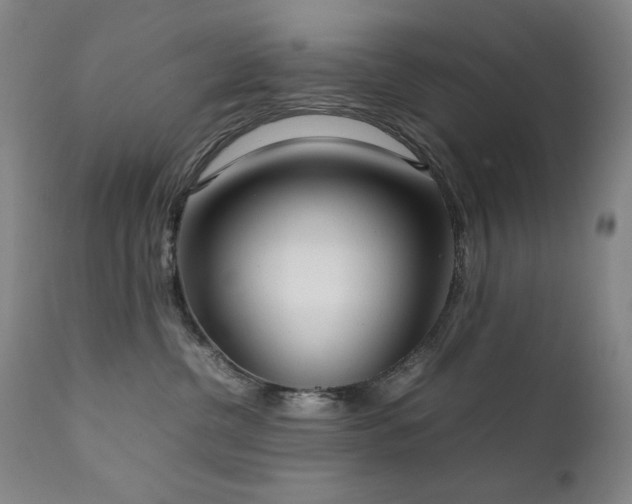 X0000111920380200907271255