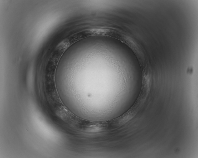 X0000111920381200907271255