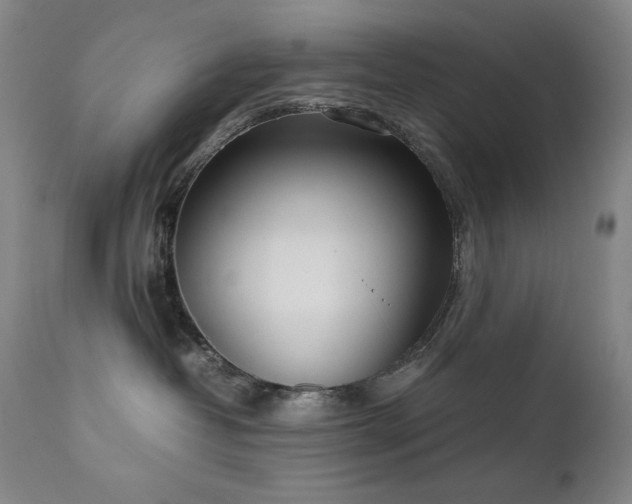 X0000111920382200907271255