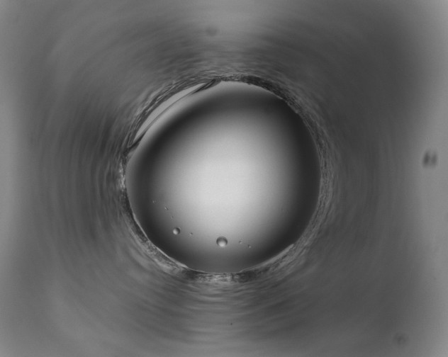 X0000111920384200907271255
