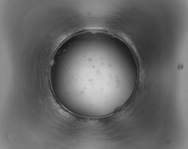 X0000111920385200907271254