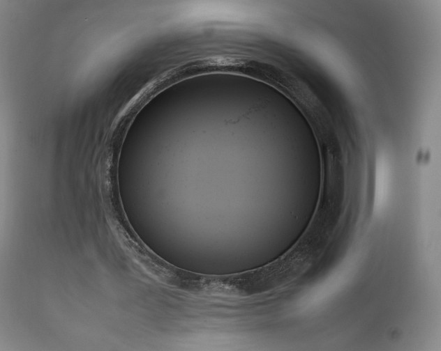 X0000111920387200907271254