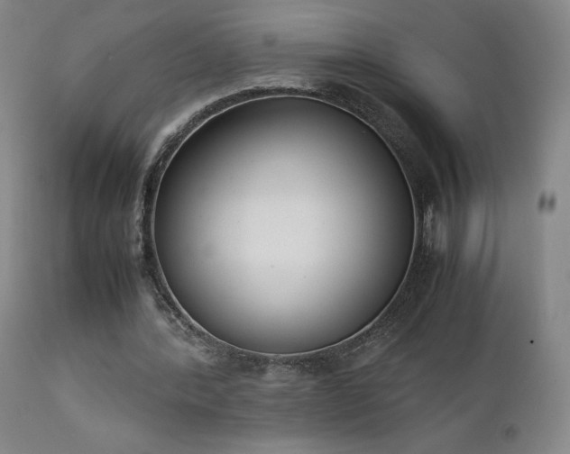 X0000111920388200907271254