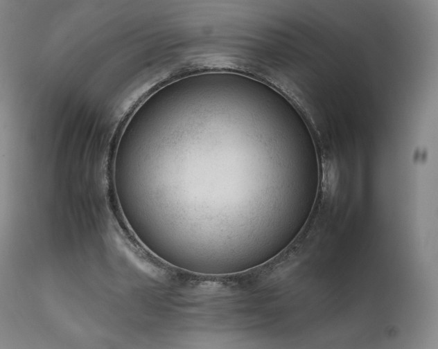 X0000111920390200907271254