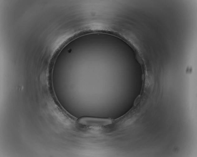 X0000111920391200907271254