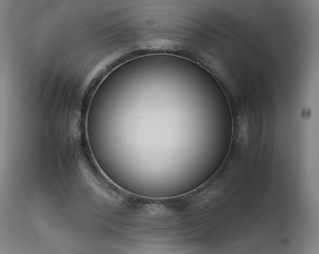 X0000111920392200907271254