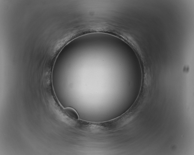 X0000111920393200907271254