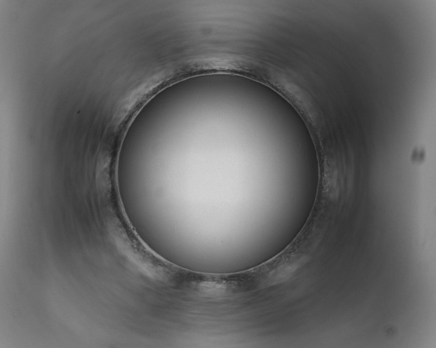 X0000111920394200907271254